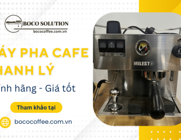 Xu Hướng Cà Phê Specialty 2026: Bí Quyết Tạo Chất Riêng Cho Quán Cà Phê