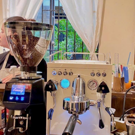 COMBO Máy Pha Cà Phê Espresso WELHOME 310 WPM - MÁY XAY AMALFI A80